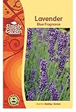 Simply Garden Lavender Blue Fragrance Seeds Grow Your Own Scented Plants