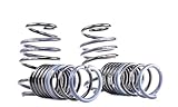 H&R 29054-2 Lowering Springs