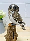 My Square Mile Bird Statue Ornament | Wooden Hand Carved Bird | Tree Stump Painted Great British Birds Indoor/Outdoor Garden Ornament (Single White Owl)