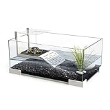 Ciano Tartarium 40 Turtle Terrapin Reptile Glass Tank with Ramp