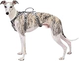 Huntboo Escape Proof Harness, No Slip Dog Harness Escape Proof,Fully Reflective Harness with Handle, Breathable,Durable, Adjustable Vest for Medium Dogs Walking, Training, and Running Gear (Black,M)