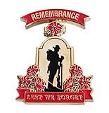 2025 Lest We Forget Poppy Badge Pin Brooch large, Poppy Badges and Pins Remembrance Day Decorations Veterans Memorial WW1 (1)