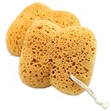 2Pcs Natural Sea Sponge,Larger Shower Sponges for Women Men, Exfoliating Body Sponge Dense Foam for Gentle & Deep Cleansing, Ultra-Soft for Sensitive Dry Skin