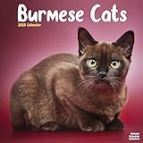 Cats - Burmese 2025 Square Wall Calendar | Animal, Cat, Pet Calendar