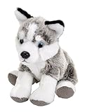 Wild Republic Pocketkins Eco Husky, Stuffed Animal, 5 Inches, Plush Toy, Made from Recycled Materials, Eco Friendly