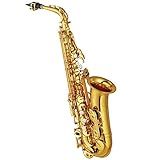 YAS-62 02 Alto Saxophone Pro Shop Series - Alto Saxophone