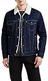Levi's Men's Type 3 Sherpa Trucker Denim Jacket, Rockridge, L