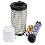 DVPARTS Filter Kit #LG260 No Oil for John Deere Gator XUV850D XUV855D XUV865E XUV865M X495 X595 X740 X744 X748 X749 2030A HPX815E Gator TH