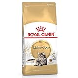 ROYAL CANIN Maine Coon Adult Cat Food 4kg