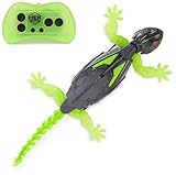 HEX BOTS Wall Crawler Gecko, Rechargeable Remote Control Robot Kids Toy, Climbs Walls, RC Robot Toy for Boys & Girls Ages 4 & Up