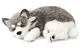 Perfect Petzzz ® Alaskan Husky The Original Breathing Pet Puppy New Huggable Soft Version Plush Toy Gift Bundle