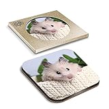 1 x Eco Boxed Cork Coasters - Fluffy Syrian Hamster Pet Rodent Drink Cup Mug Glass Table Mat #15830