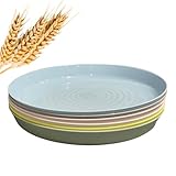 Kalas Reusable Plastic Plates/6 Pack Multi Coloured Party Plates for Kids/Adults/19x2 cm Stackable, Unbreakable, Lightweight/Pastel Bright Colours to Choose Your Favourite, Picnic & Dinner Use