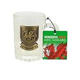 Wales Dragon Metal Plaque Mini Glass Tankard | Compact Collectible Tankard with Embossed Red Dragon | Sturdy Build & Detailed Welsh Emblem | Gift for Fans of Cymru & Celtic Culture
