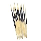 YNuth Set of 10 Pieces Porcupine Quills Craft Accessory Lenght 20-22cm