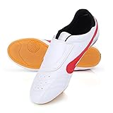 RiToEasysports Taekwondo Shoes, Unisex Taekwondo Boxing Kung Fu Tai Chi Sport Gym Shoes for Children Adults Hot (40)
