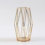 Glass Vase with Geometric Metal Stand - Stylish Modern Flower Vase for Pampas Grass & Flowers, Ideal for Living Room, Dining Table, Wedding Centerpieces, and Home Decorations - Gold, 22 cm