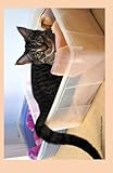 Malibu in bed 2016 Weekly Calendar: 2016 weekly engagement calendar with a cover photo of Malibu in his cozy cat bed at Ralphie's Retreat - A ... feline leukemia. (Cats of Ralphie's Retreat)