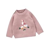 PanLidapan Toddler Baby Girl Fall Winter Sweater Duck Embroidery Round Neck Long Sleeve Warm Tops Knitwear Infant Girl Knit Pullover Jumper (Pink, 6-9 Months)