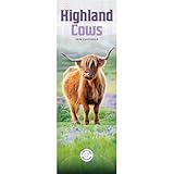 Carousel Worldwide, Highland Cow 2026 Slim Wall Calendar