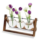 3 Pcs Hydroponic Glass Vase with Wooden Stand, Propagation Station Stand for Plants, Glass Planter Bulb Vase for Home Office Garden
