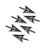 Namvo 6pcs Stainless Steel Fish Arrow Metal Archery Broadheads 100Grain Traditional Outdoor Hunting Arrows Head