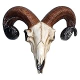 Nemesis Now Rams Skull Medium Wall Plaque 32.5cm Ivory, Resin, One Size