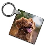 Hippowarehouse Personalised Keyring Keychain Keys Photo Ring Gift Photograph Mothers Fathers Day Gift Keepsake Memory Custom Made Birthday Present Valentines Wedding Gift 5cm x 5cm
