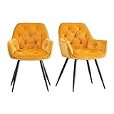 AINPECCA Dining chairs with Velvet Thick Padded Upholstered Kitchen Tub Chair Armchair with Backrest Metal Legs Living room Reception Leisure Chairs for Bedroom Lounge Office(Yellow,2)