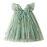 NNJXD Baby Girl Flower Embroidery Tulle Dress Butterfly Toddler Birthday Party Dresses 2109 Green Size(110) 3-4 Years