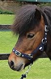 Ruggles Head Collar for Shetland Pony and Miniature Horses | Durable and Adjustable | Ideal for everyday use (Navy, Shetland)