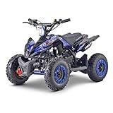 FunBikes Toxic 50cc Blue Kids Mini Petrol Quad Bike, 29 km/h = 18 mph Top Speed, 2 Stroke - Single Cylinder, Rocker On-Off Kill Switch