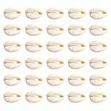 TOAOB 30pcs Craft Shell Beads Oval Spiral Shells Beads Natural Spiral Cowrie Shell Charms 15 to 19mm for Jewellery Making Bracelet Necklace Accessories Crafts DIY