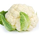 Winter Vegetable Plants, Mixed Multi-Pack Bundle, Cabbages, Cauliflowers, Broccoli, Spinach, 24 x Plug Plant Pack, Vegetable Plug Plants, Garden Ready and Ready to Plant, Premium Quality Vegetables