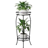 Bamworld Plant Stand Indoor Metal 2 Tier Plant Shelf Black Plant Holder Large Plant Rack for Mutiple Plants Pots for Patio Garden Corner Balcony Living Room