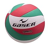 Gaser Volleyball Ball No.5 Laminated Dart