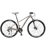 29 Inch Mountain Bike, Hardtail Mountain Bicycle with 19" Aluminum Frame Lightweight 27/30 Speed Drivetrain with Disc-Brake Spokes for Men Women Men'