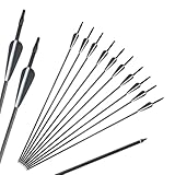M.J COMFY-LIFE 10Pcs Archery Arrows 30 inch Carbon Hunting Targeting Arrows with Broadhead Target Practice Shooting Arrows for Recurve Bow Compound Bow Longbow