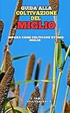 Guida alla Coltivazione del Miglio