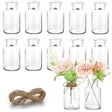 Vmgigig 12PCS Small Glass Bud Vases, Mini Vintage for Flowers, Small Vase Set for Decorative Table, Wedding Party, Home