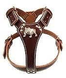 Beautiful Brown Leather Dog Harness with English Bulldog Head Motif (Brass Fittings)