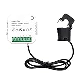 POFET Smart Meter Energy Monitor WiFi Electricity Usage Monitor 80A Compatible with Tuya Smart Life