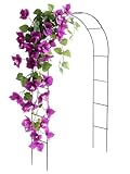 DIVCHI Black Metal Garden Arbour Arch Steel Frame Garden Arch for Climbing Plants, Roses
