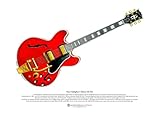 Noel Gallagher's 1960's Gibson ES-355 Art Poster A3 Size