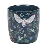 Something Different Wholesale Mystical Navy-Blue Owl & Moon Mug – 320ml, Featuring Flying Owls, Crescent Moons, and Forest Plants – Microwave & Dishwasher Safe – Ideal for Evening Teas and Relaxation