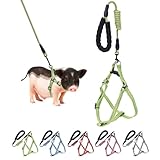 Mini Pig Harness, Adjustable Small Pig Harness with Leash Infinity Style Lead and Soft Foam Handle for Small to Medium Pet Pigs Walking Training Jogging (Green, M)