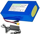 24V Lithium Battery Pack 24V 10Ah 13Ah 15Ah 20Ah Ebike Battery for 50W 250W 350W Motors 24V Battery for E-Bike/E Scooter/Motorcycle | with 2A Charger and BMS Protection 24V 10Ah,XT60