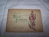 An Album of Wild Flowers (Series 1). Wills' Cigarette Card Album
