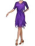 inlzdz Women Short Sleeve Latin Dance Dress Tiered Fringe Cocktail Dress Tango Ballroom Rumba Dancing Costume Purple L