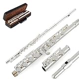 EastRock C Flute Silver Open Hole,16 Key Flute Musical Instrument with Carrying Case, Stand, Gloves, Cleaning Cloth and Rod for Beginner,Kids, Student (Silver Plated)